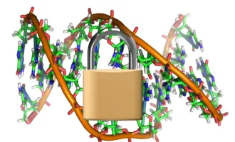 Image of DNA with a lock in front of it