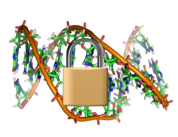 Image of DNA with a lock in front of it