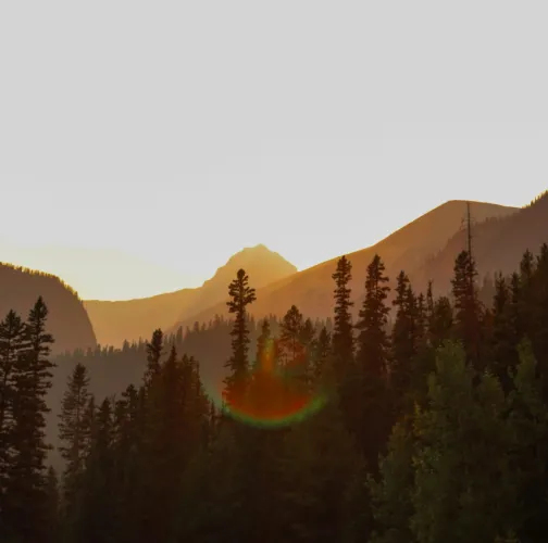 Trees and mountains