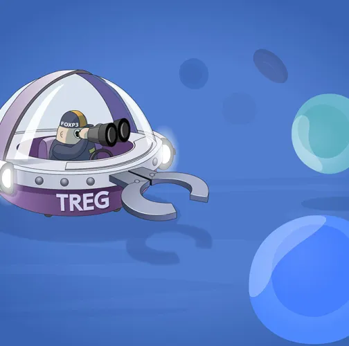 Illustration of creator seeking T cells.