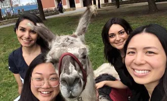 Students gather around a llama.