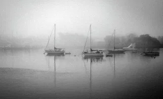 Foggy bay sailboats