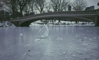 Frozen pond.