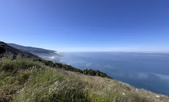 Big Sur