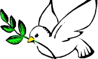 Peace Dove