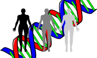 human cloning illustration