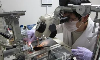 scientist looking through a microscope