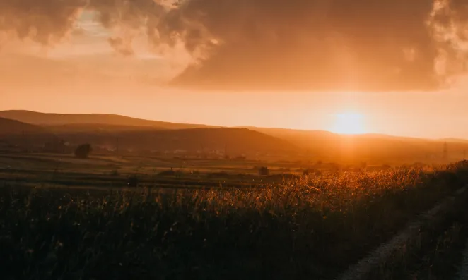 Sunset over field