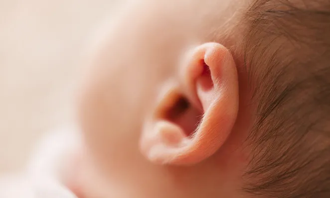 Baby's ear.