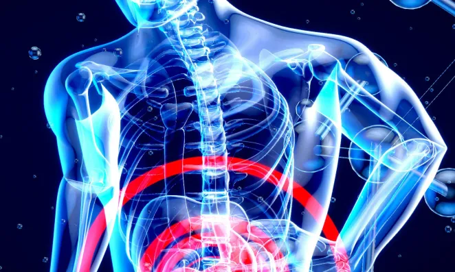 3-D image of person with red circle around stomach