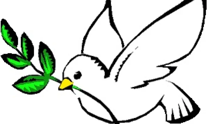 Peace Dove