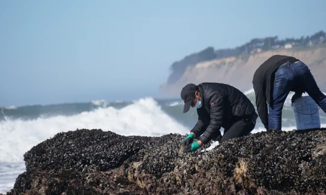 mussel_hunters