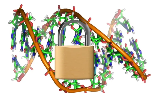 Image of DNA with a lock in front of it