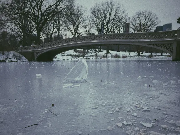 Frozen pond.