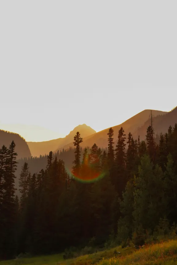 Trees and mountains