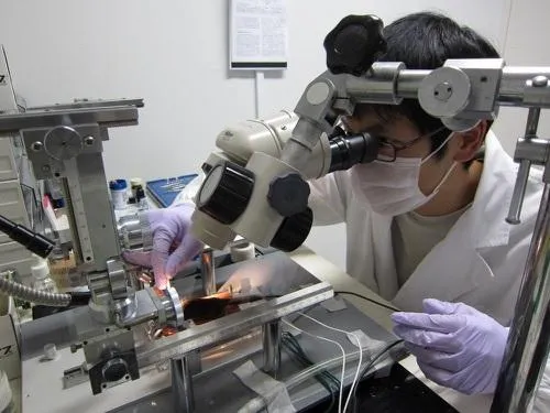scientist looking through a microscope