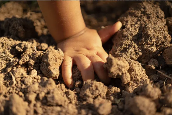 Baby hand in dirt