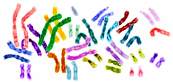 human_genome
